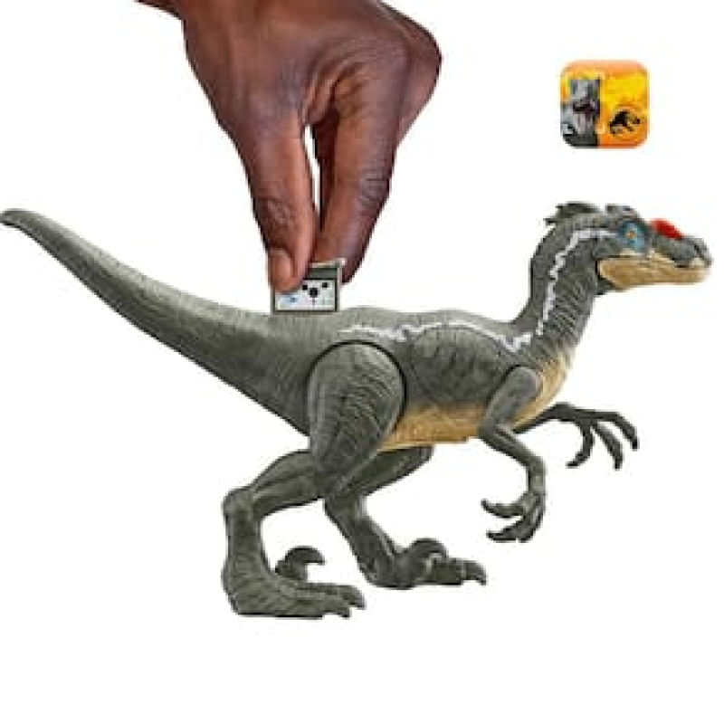 16953206270746