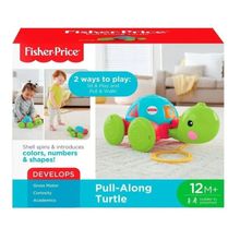 Empurra Tartatuga - Fisher-Price - Brinquedo para Bebes - MATTEL