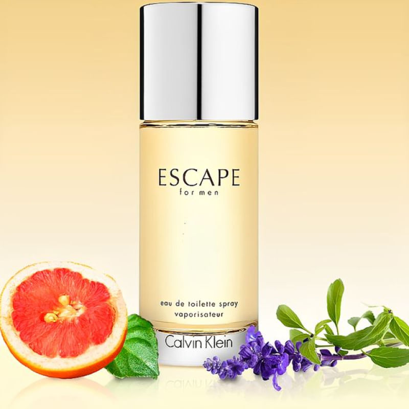 Escape for top men calvin klein