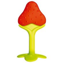 Mordedor de Silicone Morango com Estojo - KaBaby