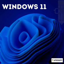 Aprovante | Curso Online de Windows 11 Curso Completo