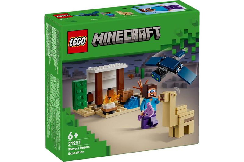 17090677679981