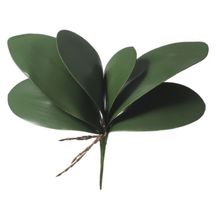 FOLHA ORQUIDEA PHALAENOPSIS C/ARAME X6 (VERDE) 33cm