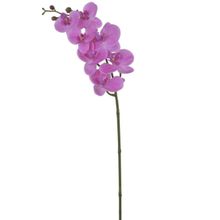 Haste Flor Orquídea Phalaenopsis Real Toque c/Coat x7 73cm