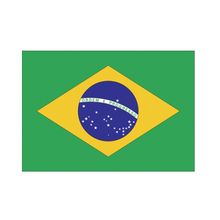 Adesivo Bandeira do Brasil Adesivo Externo