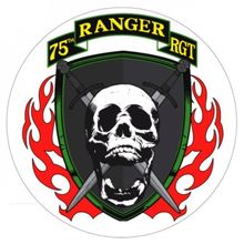 Adesivo 75 Ranger RGT Adesivo Externo