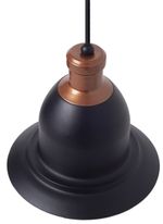 17080391509891