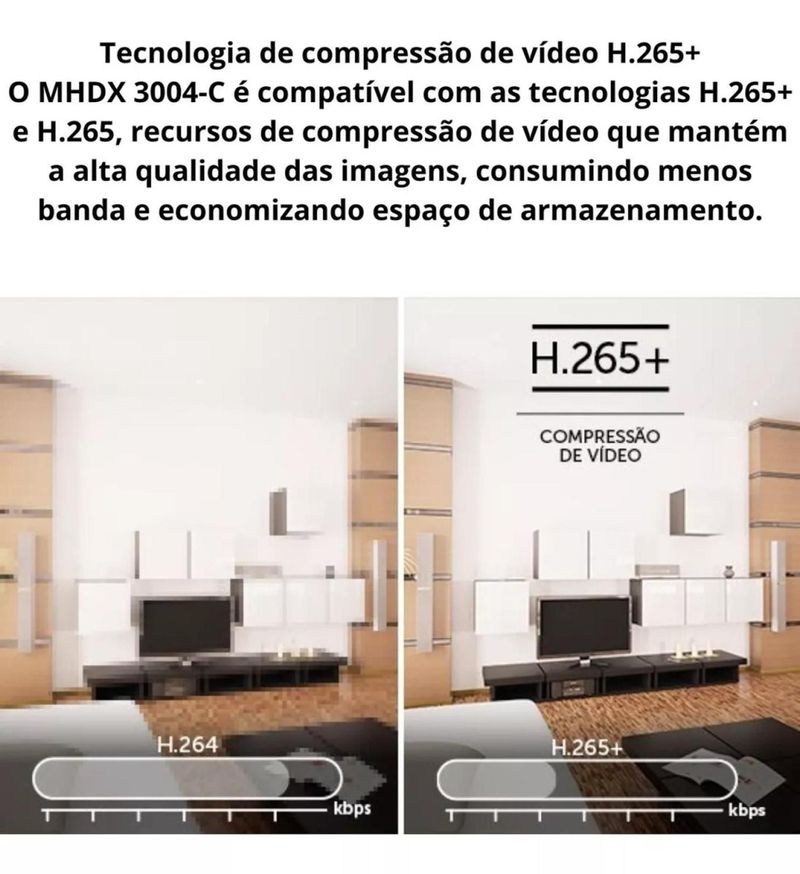 17080393009295