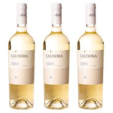 Kit 03 Unidades Vinho Caldora Trebbiano D´Abruzzo DOC 750ml