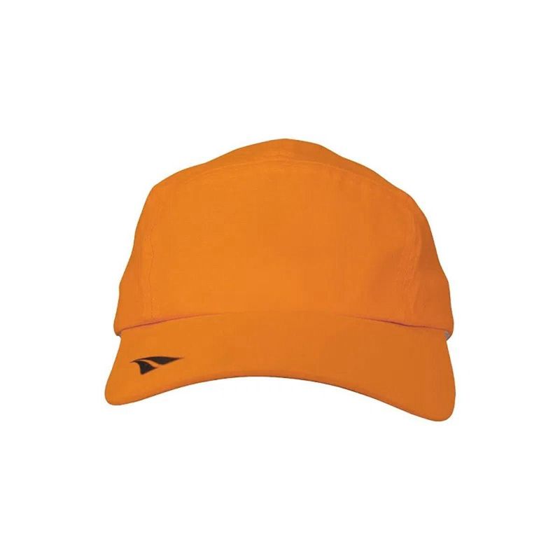 17093830900276