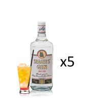 Kit Gin Seagers Dry 980ml 5 unidades