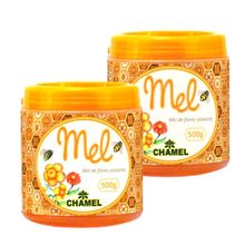 Mel Silvestre 100% Puro  2  Potes com 500g   Chamel