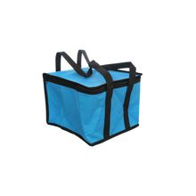 Bolsa Térmica Frosty Azul 26 L