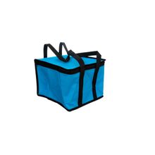 Bolsa Térmica Frosty Azul 11 L