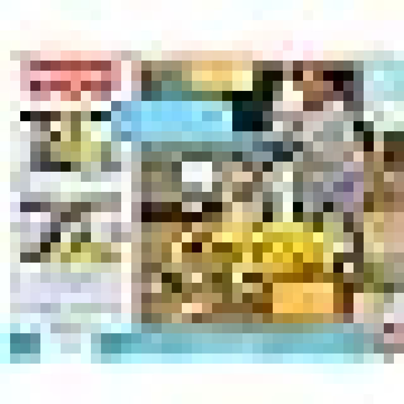 17093049643518