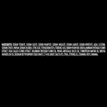 17229805175253