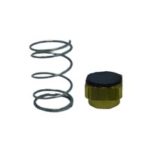 Reparo Válvula Retenção Douat 2.6 Cd70