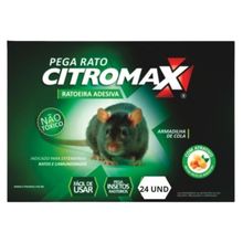 Ratoeira Adesiva P/ Camundongos E Ratos (gabiru) 24un.