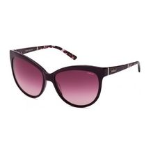 OCULOS SOLAR COLCCI 0504012037