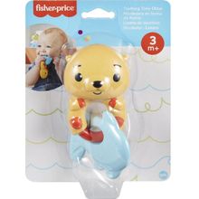 Chocalho -  Fisher-Price Baby - Lontra MATTEL