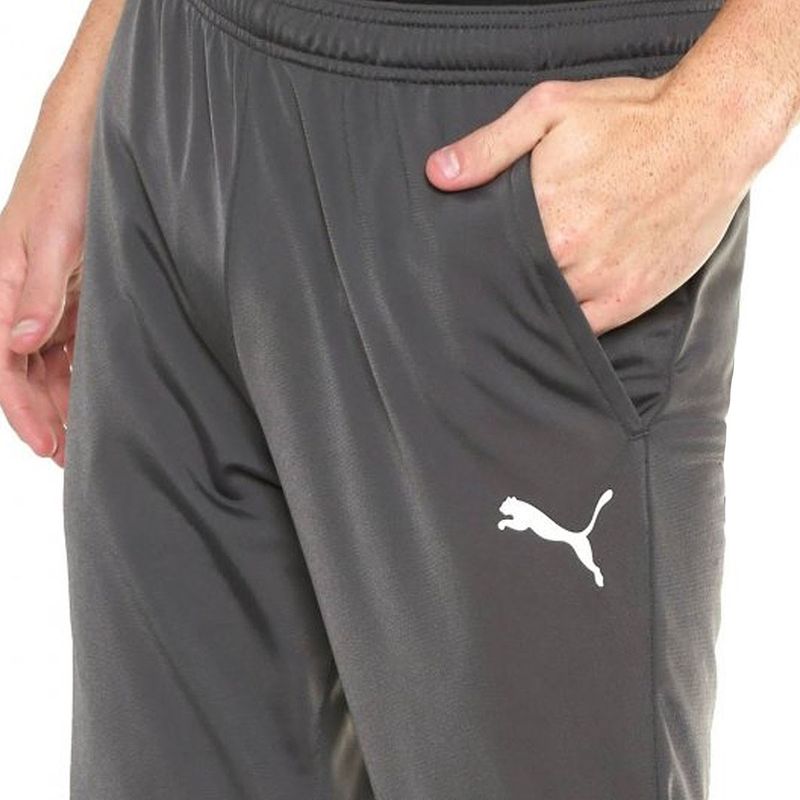 Calca Puma Liga Training Core Masculina Cinza Shop Coopera