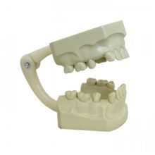 4038 - Manequim Básico Articulado Má Oclusão