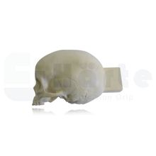 9015 -3 - Crânio Infantil Oco Longitudinal Esquerdo e Bloco de Apoio