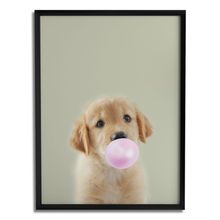 Quadro Decorativo Golden Filhote Chiclete