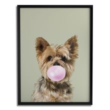 Quadro Decorativo Yorkshire Chiclete