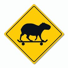 Placa Decorativa 30x30 Sinalização Capivara - Beek
