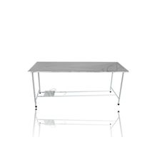 Mesa Para Necropsia Esmataltada Tampo em Inox Fixa Sem Balde - FM0161