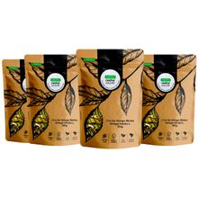 Kit 4 pct Chá de Ginkgo Biloba - Ginkgo Biloba L. - 100g