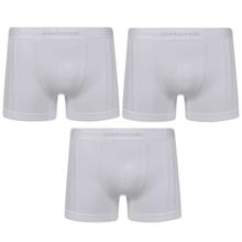 Kit 3 Cuecas Boxer Selene Sem Costura Masculino - Branco