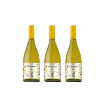 Kit Vinho Chilano Sunset Branco Seco Chileno 750ml 3unidades