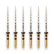 Lima Rotatória Protaper Universal 25mm com 6 Maillefer - Dentsply Sirona