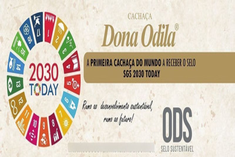 17196733517157