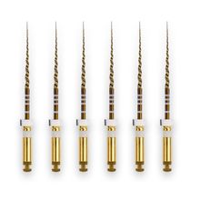 Protaper Gold S2 25mm - Dentsply Sirona