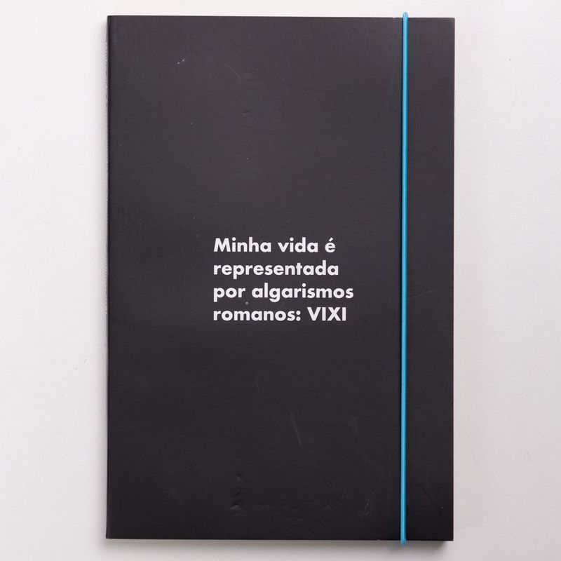 17295207043063