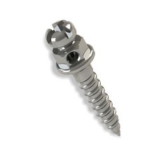 37.10.241 Mini parafuso Ortodôntico Cabeça De Barquete Horário (comp: 6mm - Transm: 1mm - 1,5mm) - Morelli