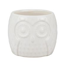 Vaso Porcelana Branco Coruja 6.5x7x7cm - Tudo em Caixa