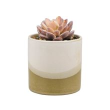 Vaso Porcelana Planta Artificial Modelo A - Tudo em Caixa
