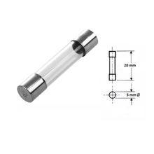 2 Unidades = Fusível De Vidro 10A / 5X20Mm / Ação Rápida / 127V 250V / Climatizador Climattize Easy Fix Giro Fix Plu