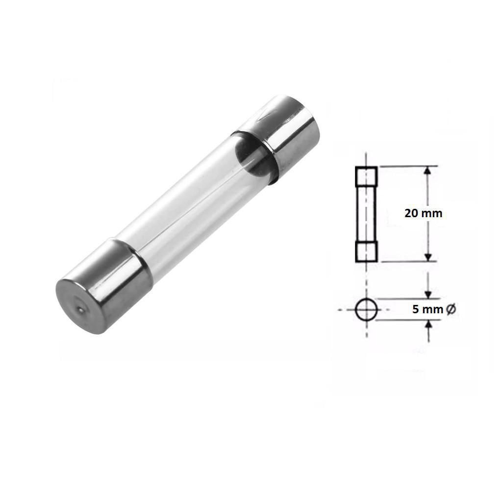2 Unidades = Fusível De Vidro 10a / 5x20mm / Ação Rápida / 127v 250v / Climatizador Climattize Easy Fix Giro Fix Plu