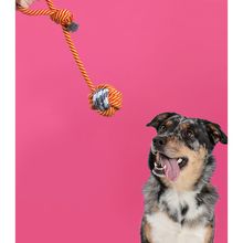 Brinquedo para Cães Corda de 41,5cm - Ringo