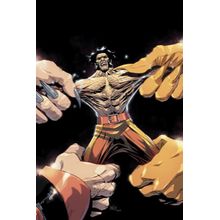 Wolverine (2022) Vol. 28