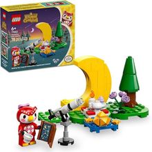 LEGO Animal Crossing Admirando estrelas com Celeste