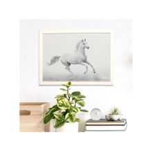 Quadro Decorativo All White Cavalo 35x47cm