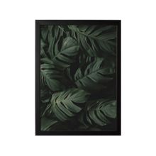 Quadro Decorativo Folhagem 35x47cm