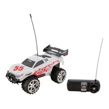 Carrinho de Controle Remoto Tech R/C