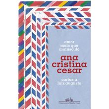 Livro - Amor mais que maiúsculo